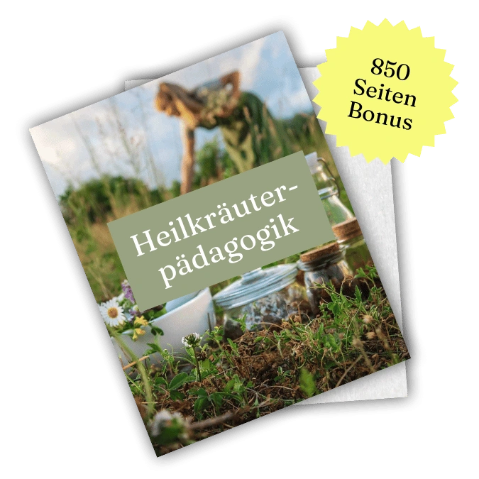 Lehrmaterial der Kehrbachhof Akademie zur Kräuterpädagogik